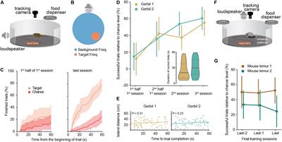 Sensory Island Task (SIT): A New Behavioral Paradigm to Study Sensory Perception and Neural Processing in Freely Moving Animals